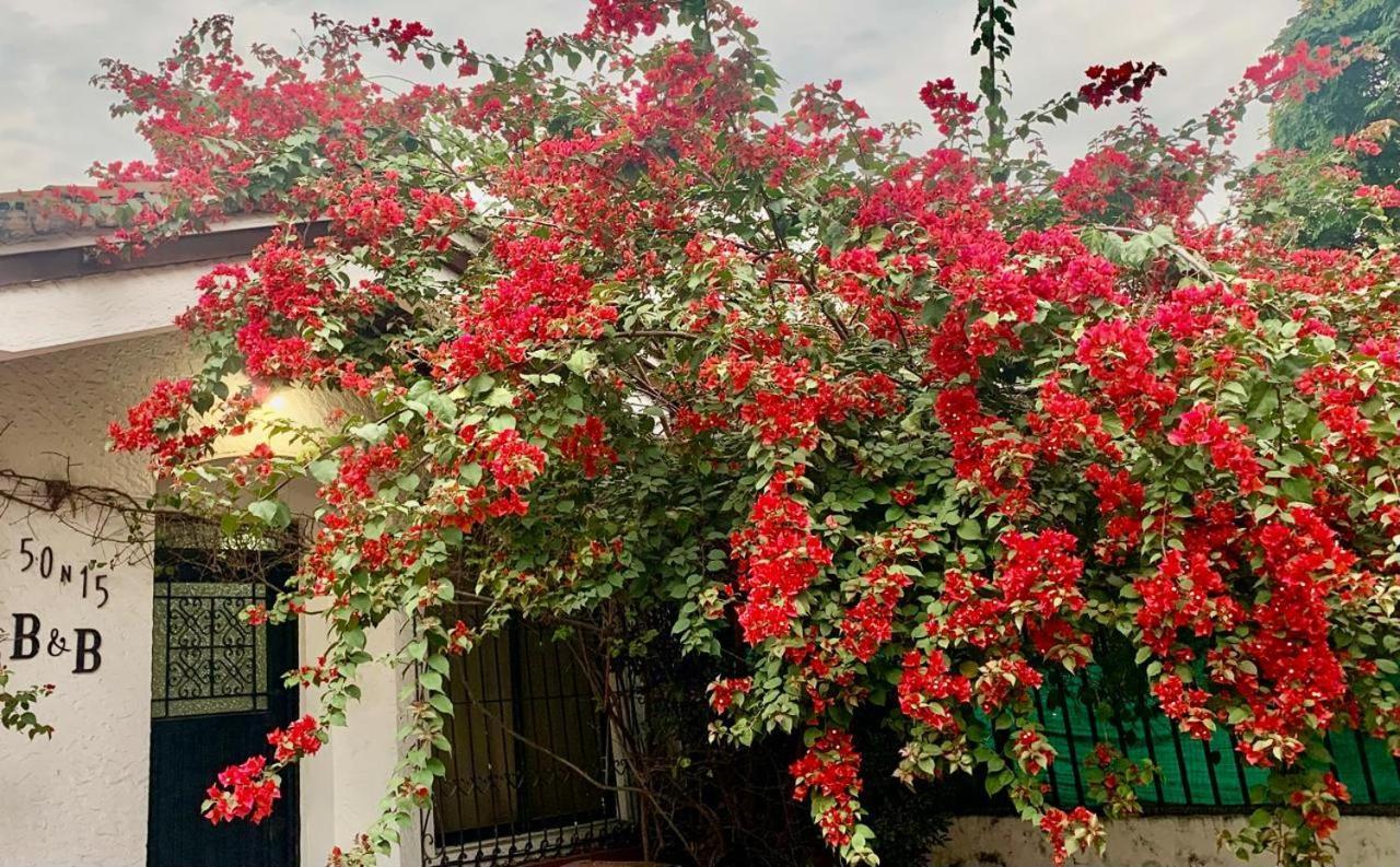 50N15 B&B กาลี ภายนอก รูปภาพ